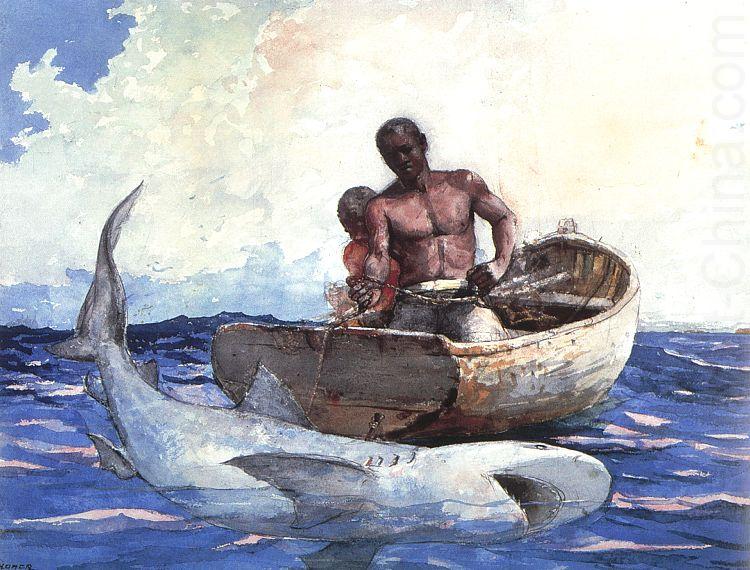 Winslow Homer Shark Fishing china oil painting image